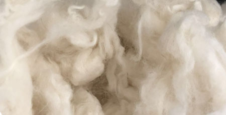 Fiber sample - Sheep wool