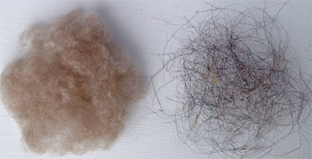 Dehaired fibers and guard hairs
